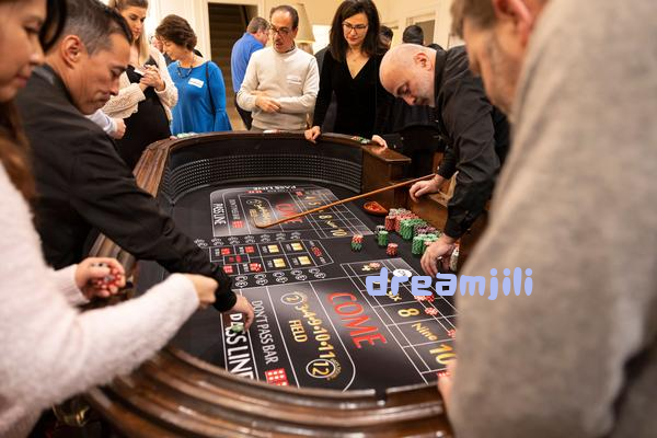 Secure access sa platforma dreamjili